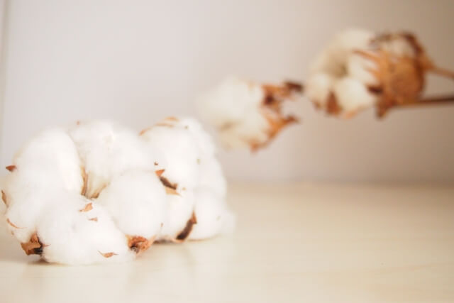綿コットンフワラー